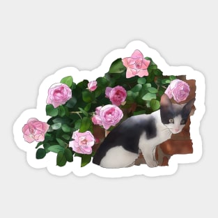 Katze im Rosenbusch Sticker